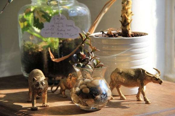 Lots of pot plants make it feel homey.